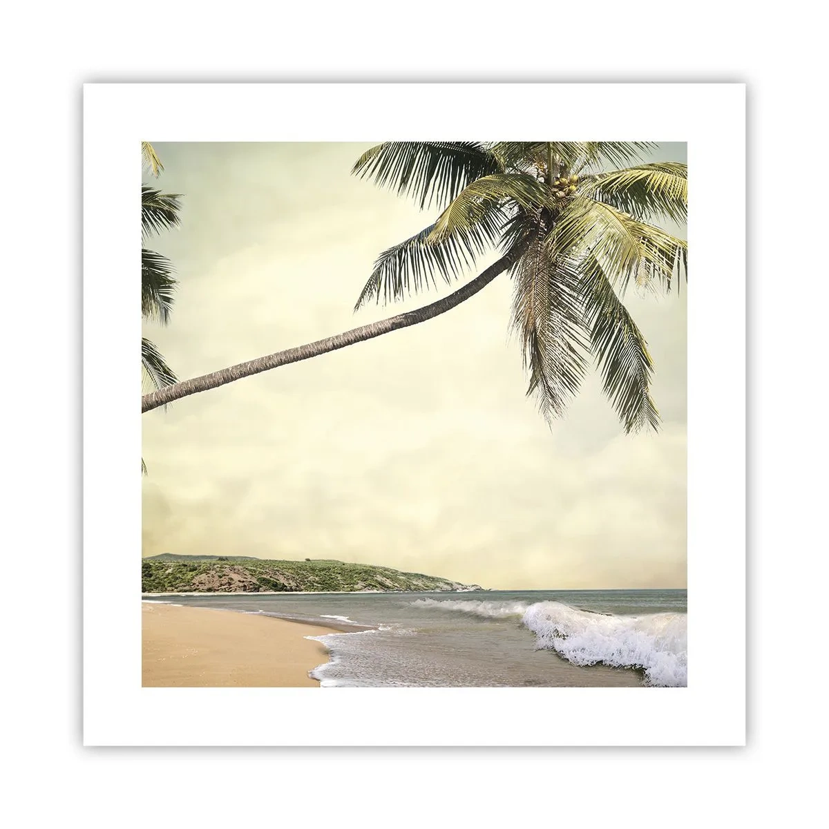 Póster - Sueño tropical - 40x40 cm
