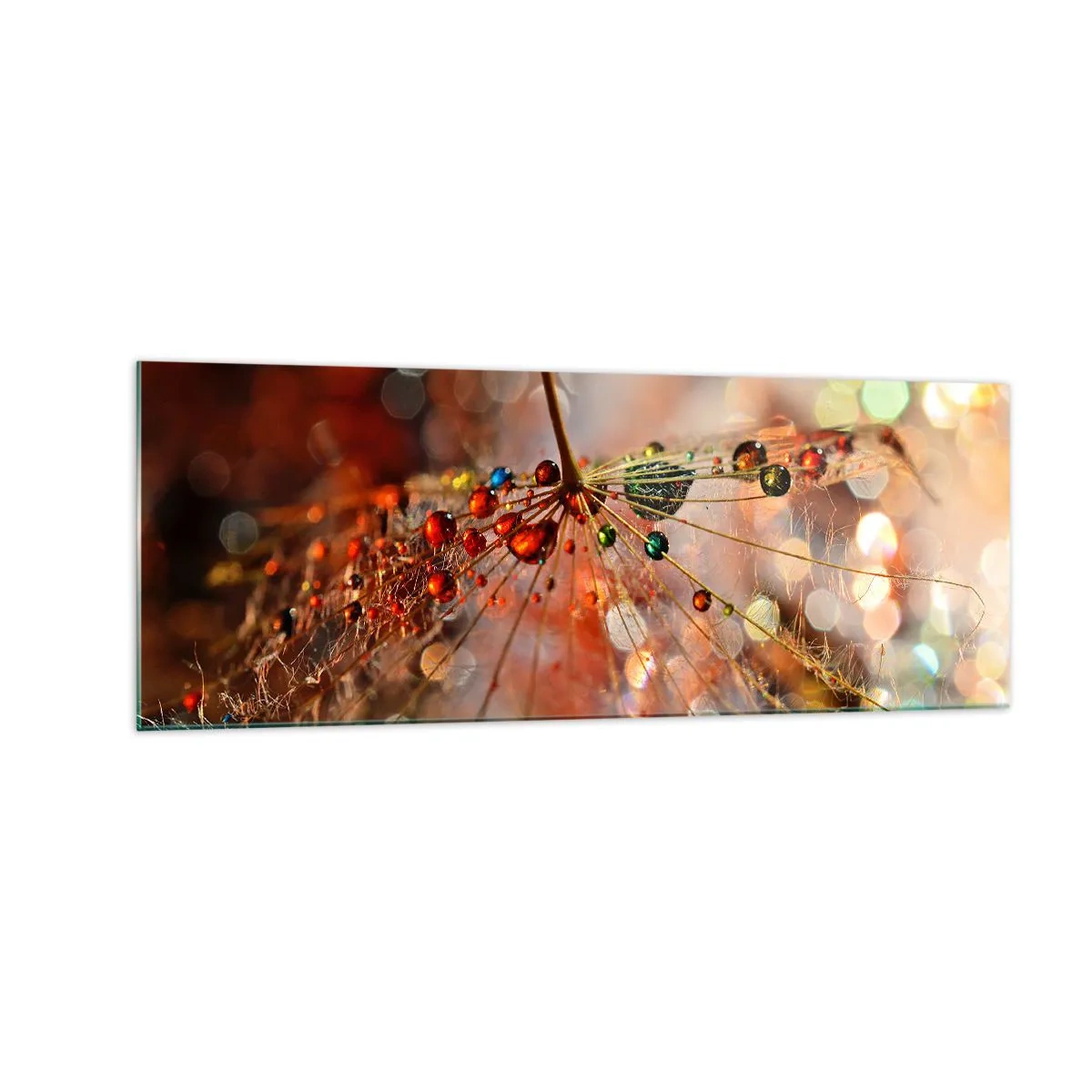 Cuadro sobre vidrio - Impresiones sobre Vidrio - Fotografía macro de una gota de agua sobre una planta delicada. - 140x50cm - En una tela de araña - Decoración de pared moderna para salón y dormitorio ARTTOR