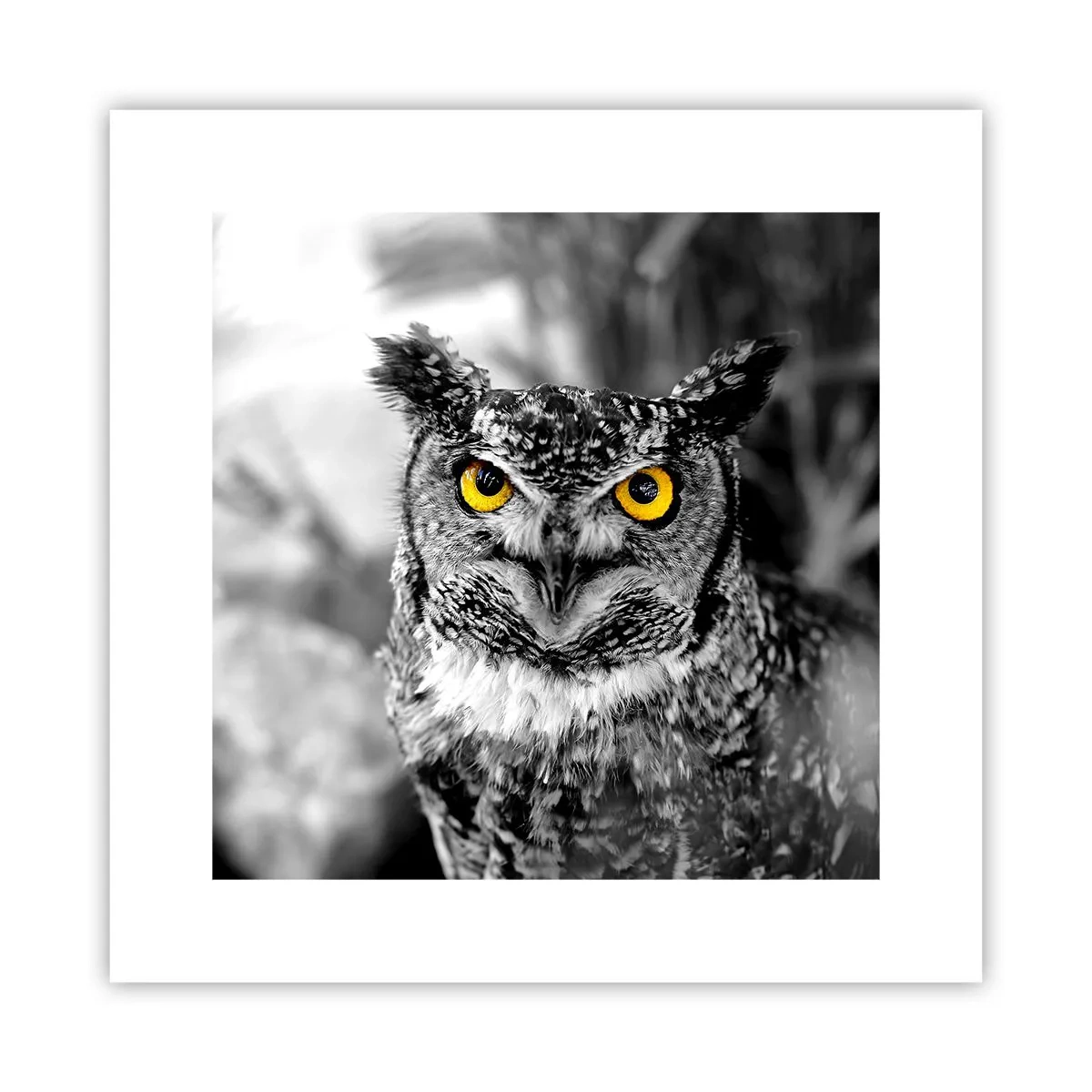 Póster - Nada se puede ocultar - 30x30 cm