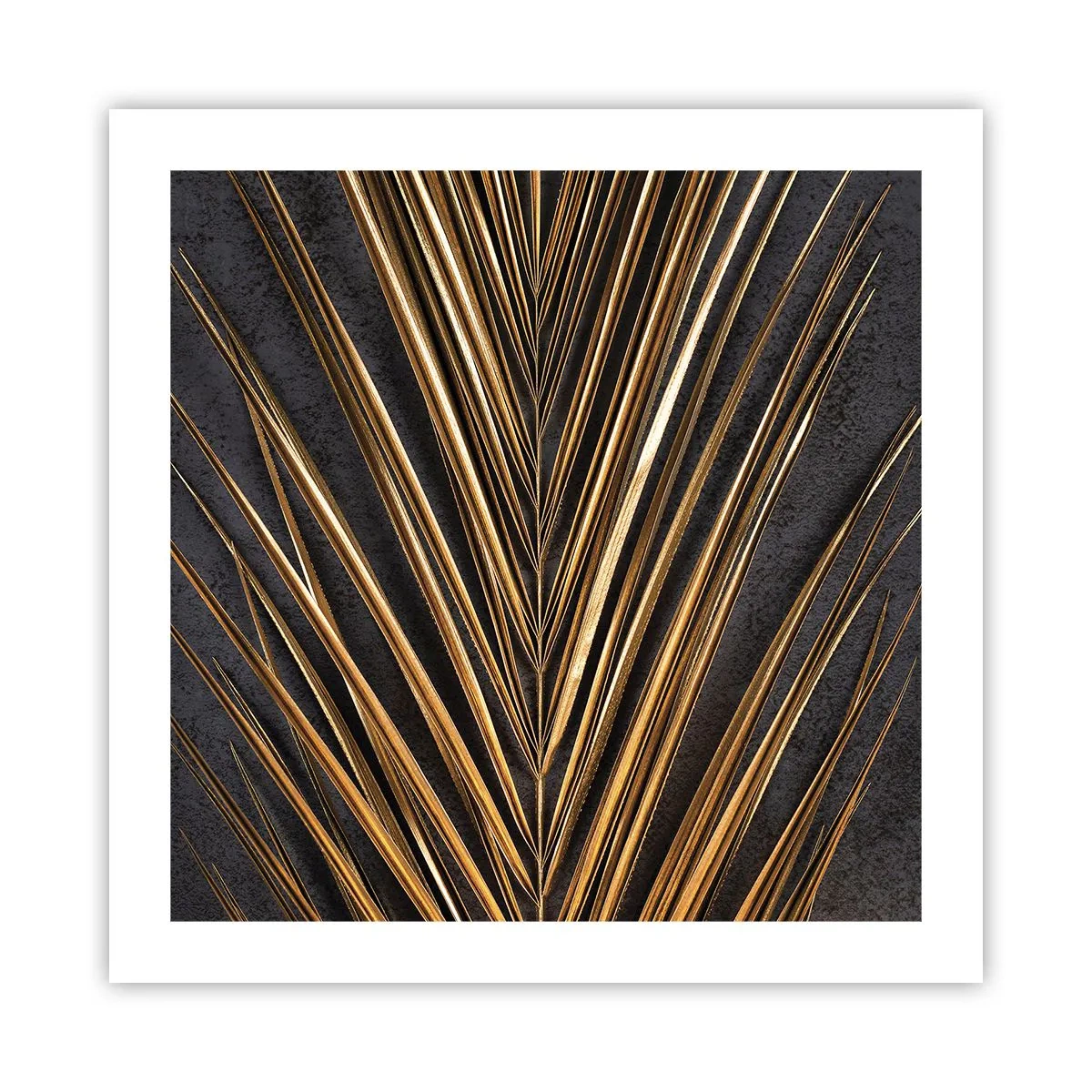 Póster - El oro de los trópicos - 50x50 cm
