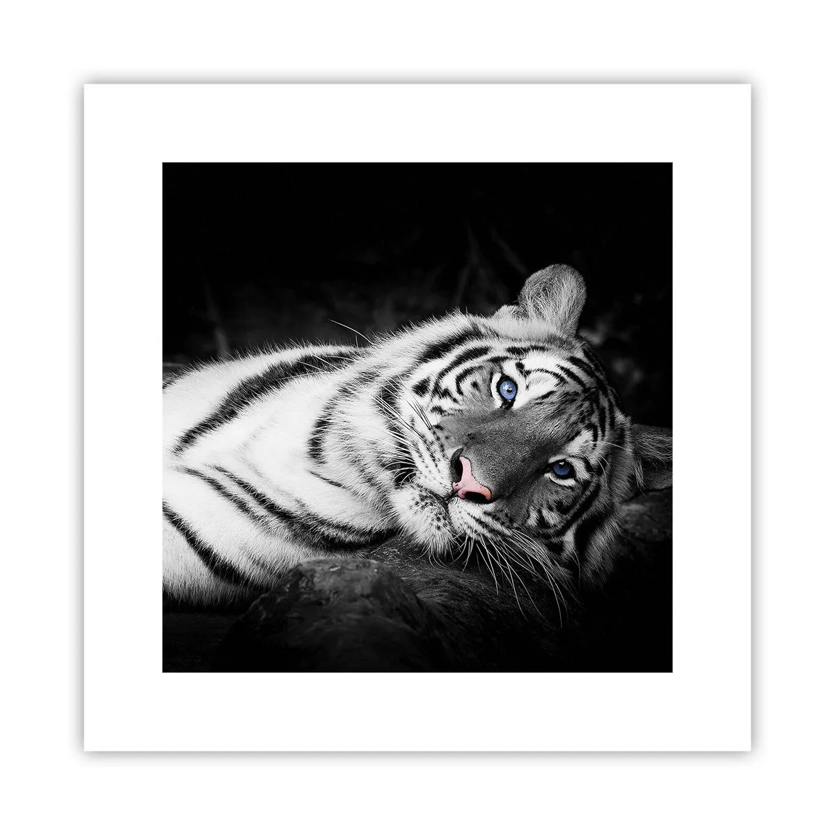 Póster - Salvaje y tranquilo - 30x30 cm