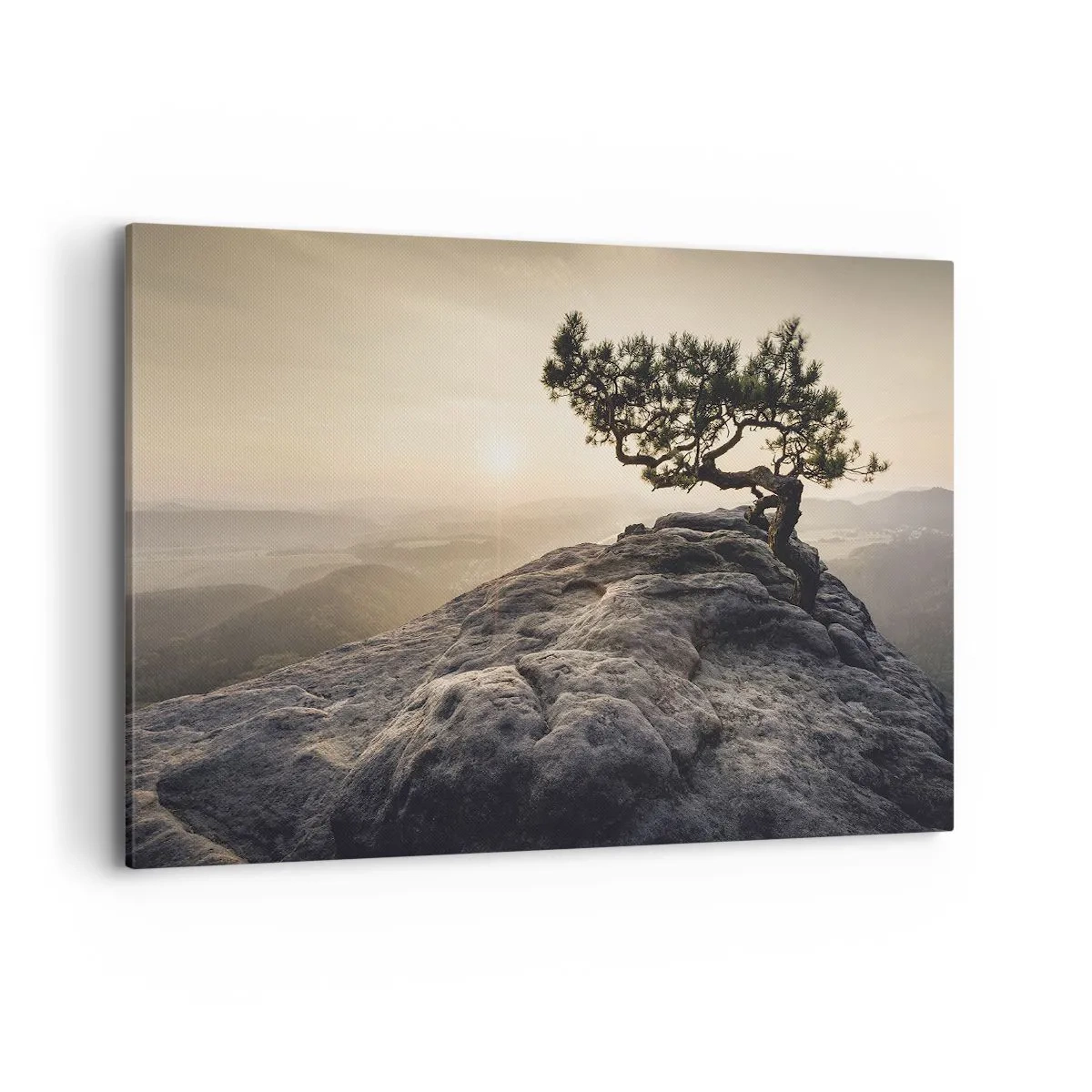 Cuadro sobre lienzo - Impresión de Imagen - Un árbol solitario en un pico rocoso a la luz del sol. - 100x70cm - La vida se abre camino - Decoración de pared moderna para salón y dormitorio ARTTOR