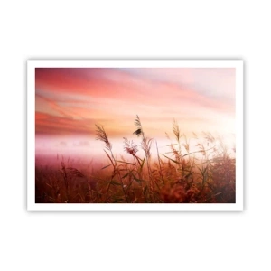 Póster - Un campo de hierba con el telón de fondo de una pintoresca puesta de sol. - 100x70cm - El arte del viento - Decoración de pared moderna para salón y dormitorio ARTTOR