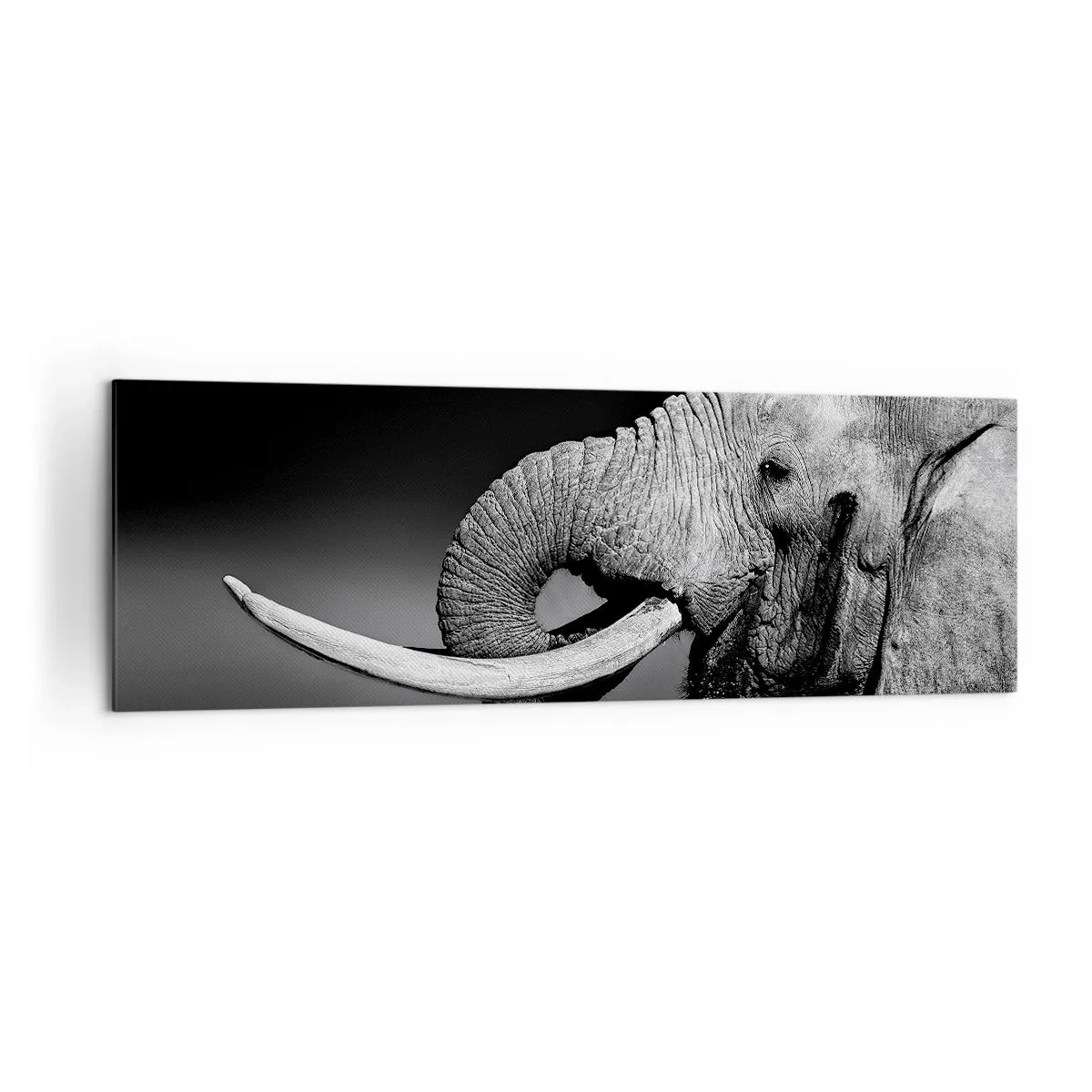 Cuadro sobre lienzo - Impresión de Imagen - Retrato en blanco y negro de un elefante de perfil. - 160x50cm - Majestuoso - Decoración de pared moderna para salón y dormitorio ARTTOR