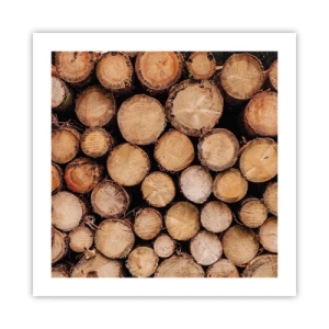 Póster - Un nuevo comienzo - 50x50 cm