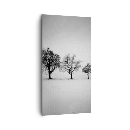 Cuadro sobre lienzo - Impresión de Imagen - ¿Con qué sueñan? - 55x100 cm