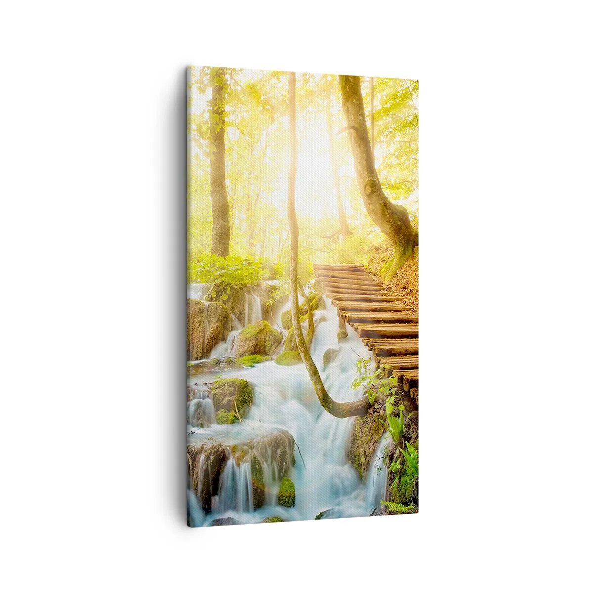 Cuadro sobre lienzo - Impresión de Imagen - El ansiado frescor - 45x80 cm