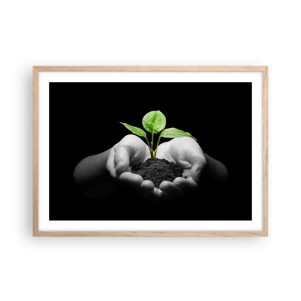 Póster en marco roble claro - Amo la naturaleza, la protejo - 70x50 cm
