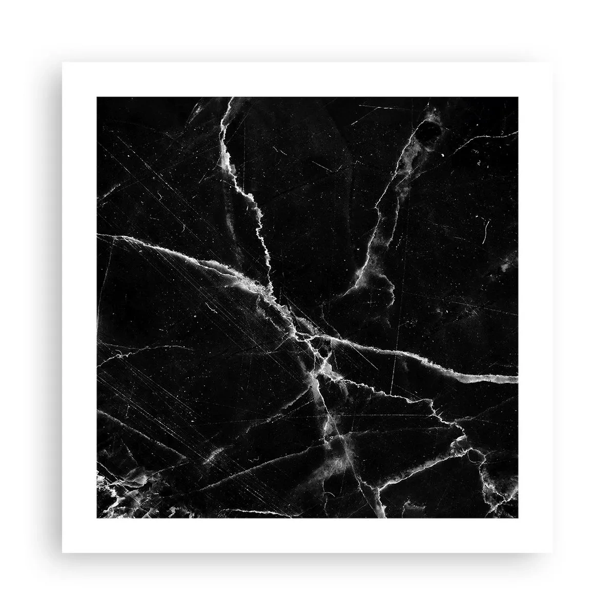 Póster - La vida secreta de la piedra - 50x50 cm