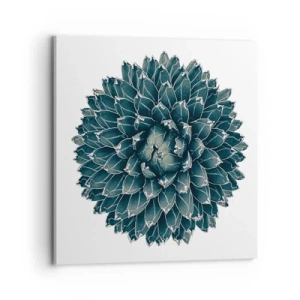 Cuadro sobre lienzo - Impresión de Imagen - Estrella del desierto - 70x70 cm