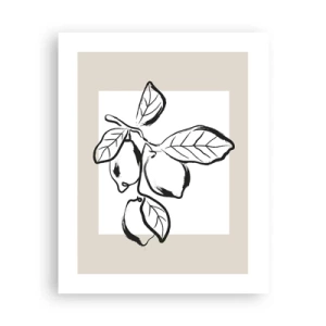 Póster - Donde el limón madura... - 40x50 cm