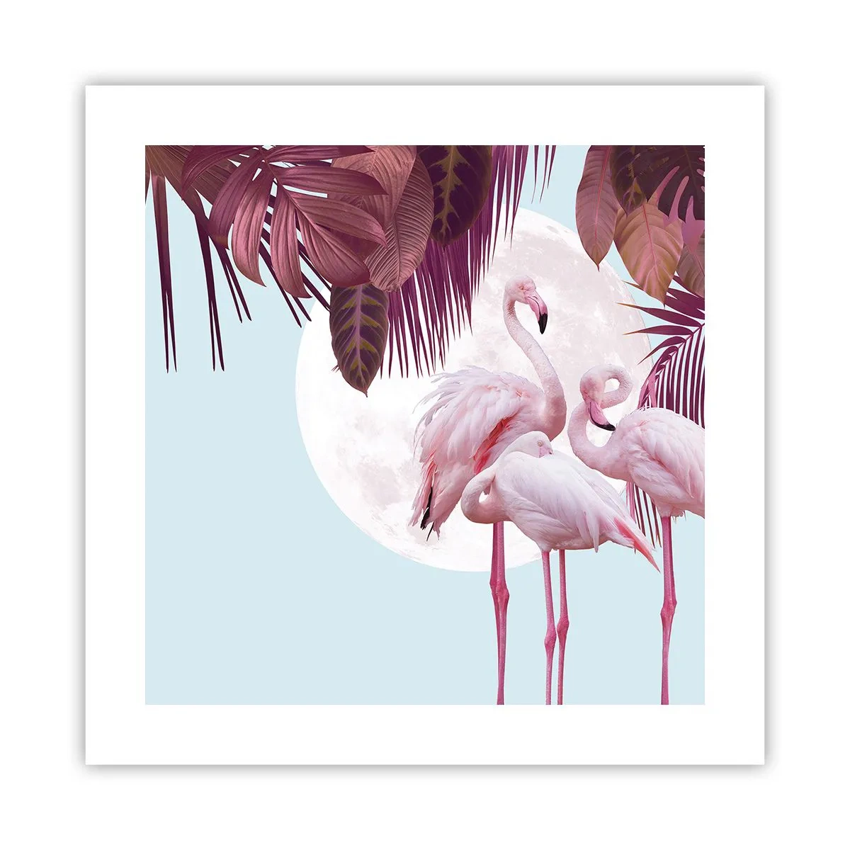 Póster - La grandeza de las aves - 40x40 cm