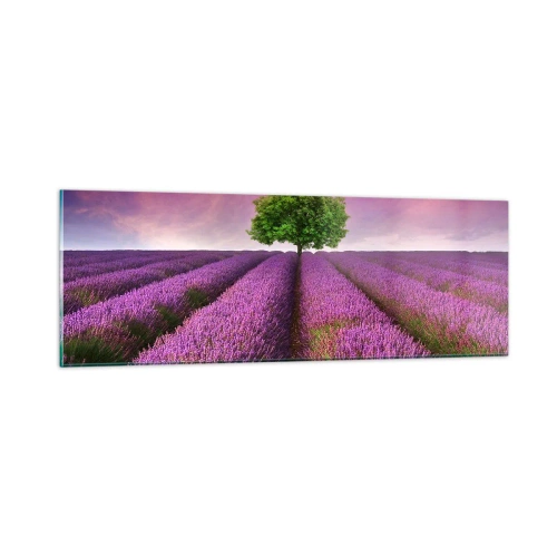 Cuadro sobre vidrio - Impresiones sobre Vidrio - En los campos de lavanda - 90x30 cm