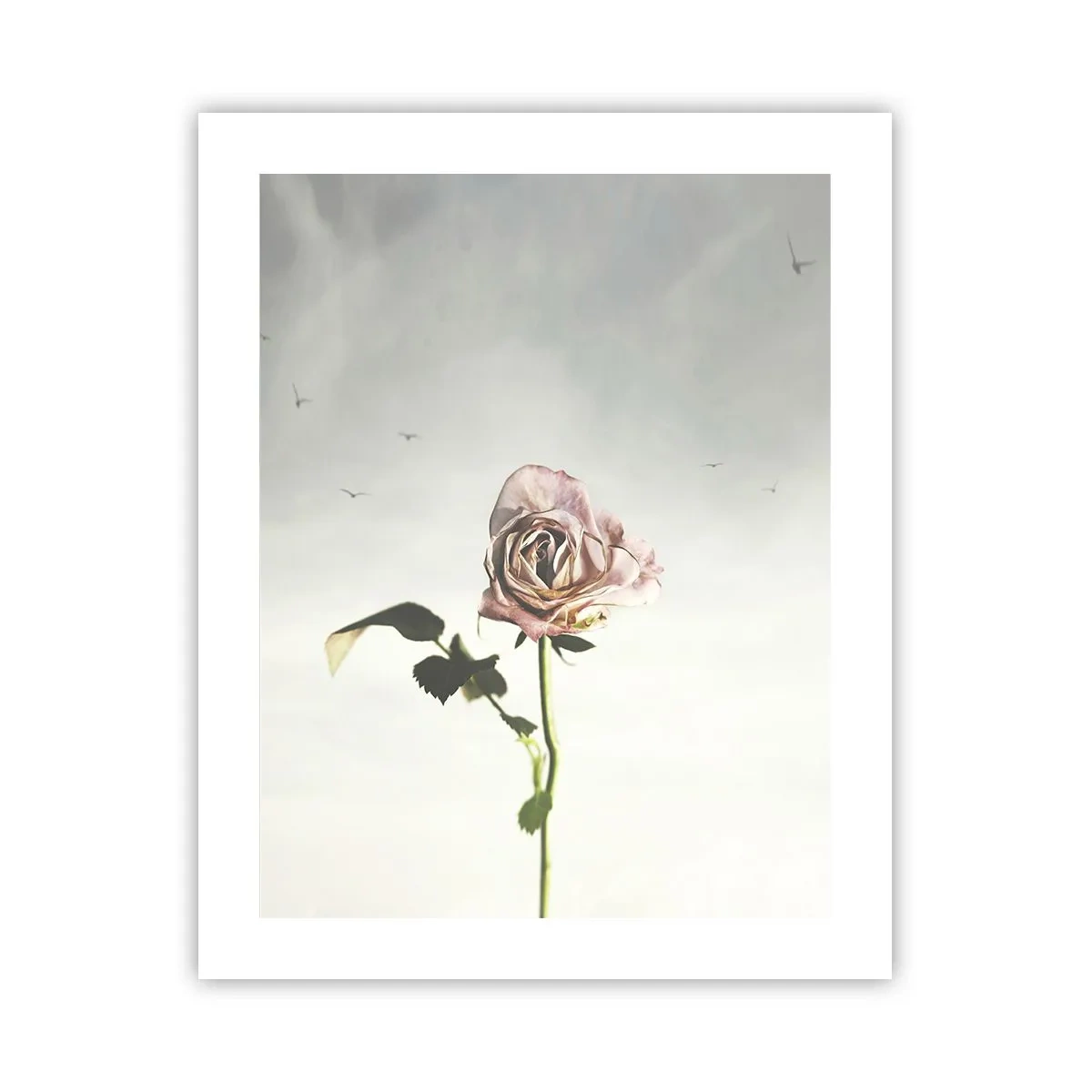 Póster - Bienvenida a la primavera - 40x50 cm