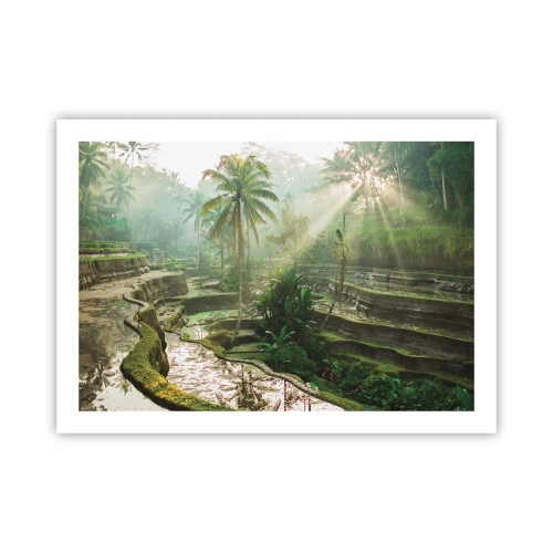 Póster - Crecer bajo el sol - 70x50 cm