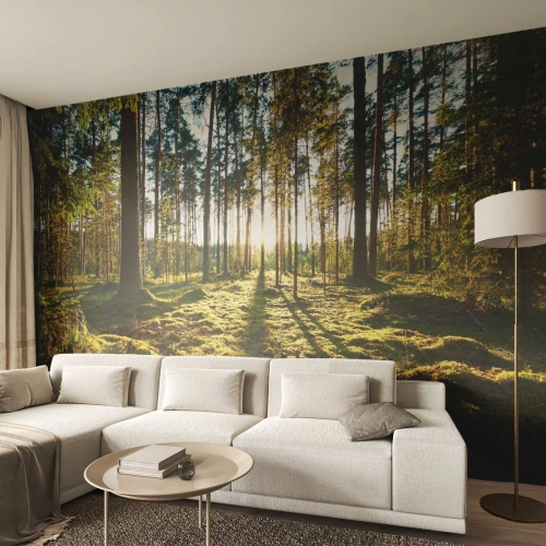 Fotomural Premium Sand - Bosque soleado con musgo verde y largas sombras de árboles. - 100x70cm - ...Más allá de los siete bosques - Decoración de pared moderna para salón y dormitorio ARTTOR