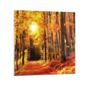 Cuadro sobre vidrio - Impresiones sobre Vidrio - Un otoño dorado en una carretera forestal - 60x60 cm