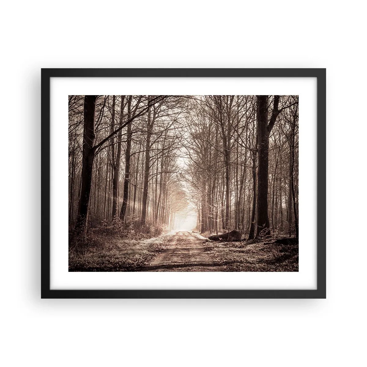 Póster en marco negro - La catedral del bosque - 50x40 cm