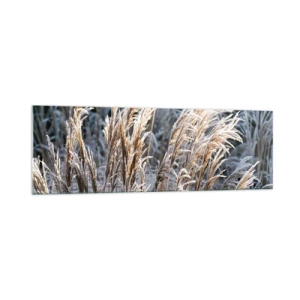 Cuadro sobre vidrio - Impresiones sobre Vidrio - Hojas de hierba invernales cubiertas de escarcha sobre un fondo verde oscuro - 160x50cm - Campos y campos - Decoración de pared moderna para salón y dormitorio ARTTOR