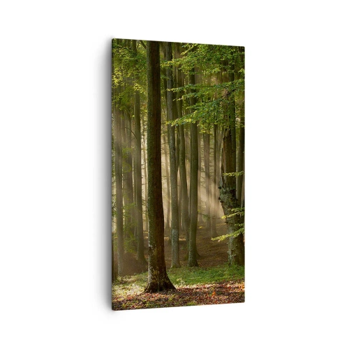 Cuadro sobre lienzo - Impresión de Imagen - Radiante en una mañana de primavera - 55x100 cm