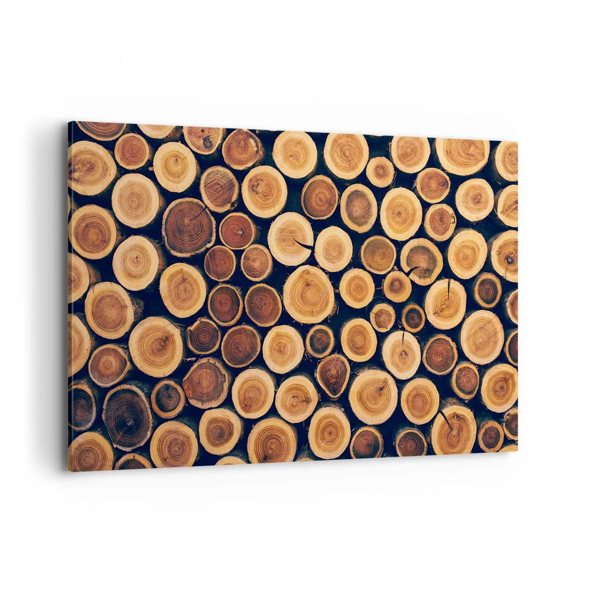 Cuadro sobre lienzo - Impresión de Imagen - Patrón elaborado a partir de secciones transversales de troncos de madera. - 120x80cm - ¿Qué edad tengo? - Decoración de pared moderna para salón y dormitorio ARTTOR