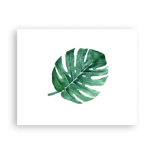 Póster - Concepto verde - 50x40 cm