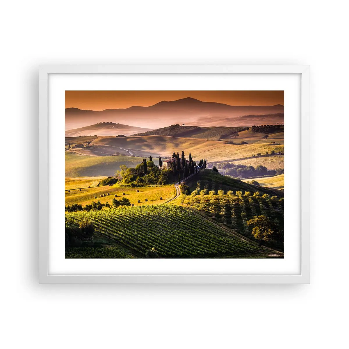 Póster en marco blanco - Paisaje toscano - 50x40 cm