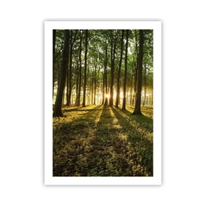 Póster - Un bosque iluminado por los rayos del sol poniente. - 50x70cm - Una fotografía de todos los manantiales - Decoración de pared moderna para salón y dormitorio ARTTOR