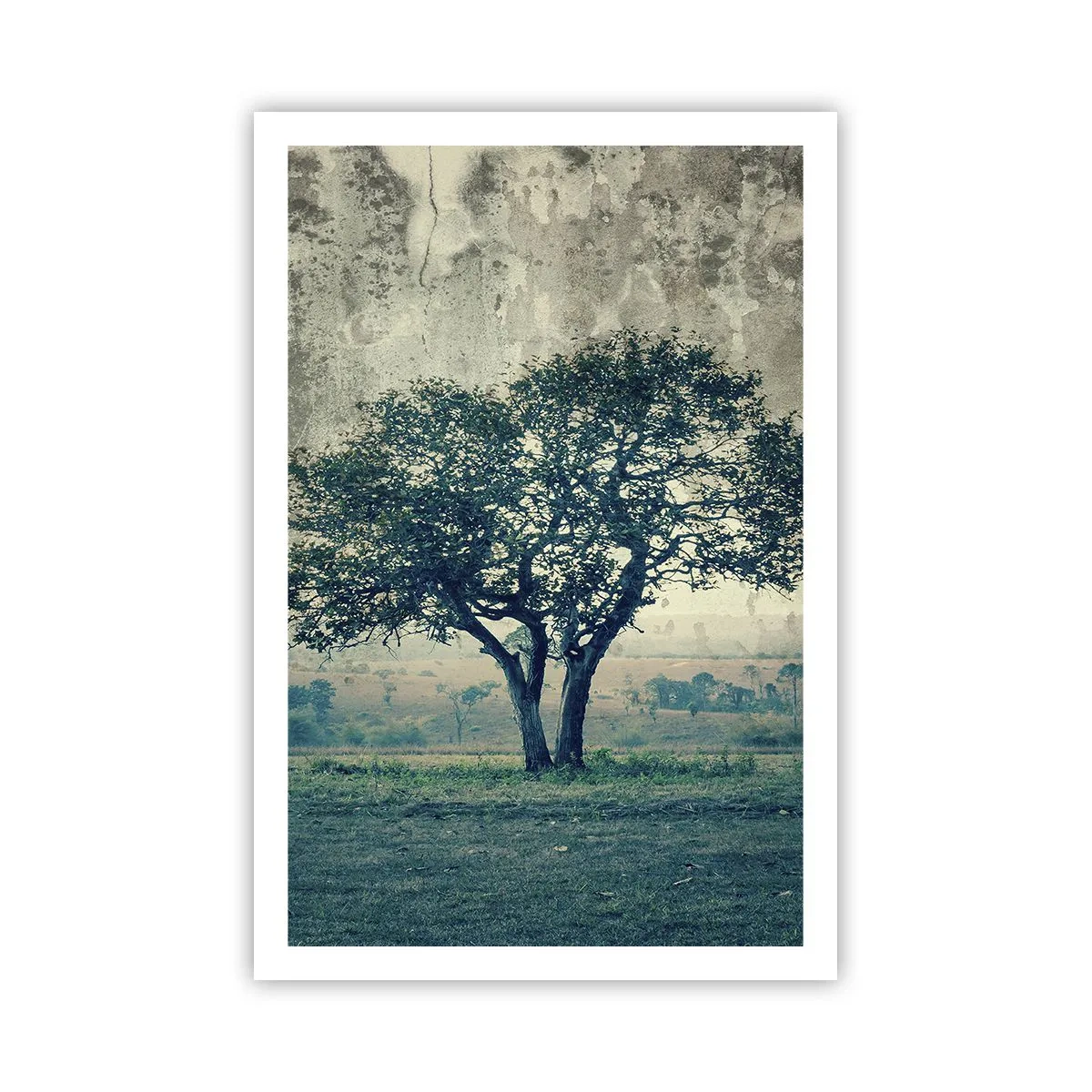Póster - El manzano - 61x91 cm