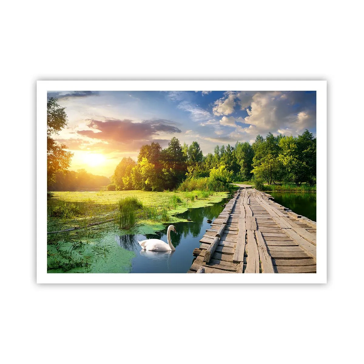 Póster - Un paisaje pintoresco con un puente y un cisne. - 100x70cm - Verano, verano en todas partes - Decoración de pared moderna para salón y dormitorio ARTTOR