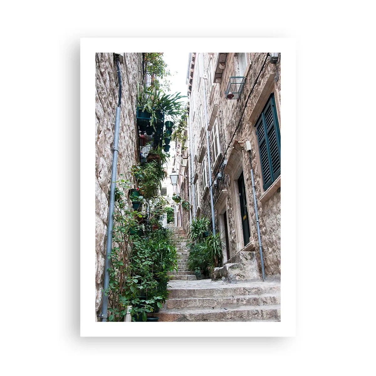 Póster - Una calle de piedra con exuberante vegetación y escaleras. - 50x70cm - Encanto de ciudad antigua - Decoración de pared moderna para salón y dormitorio ARTTOR
