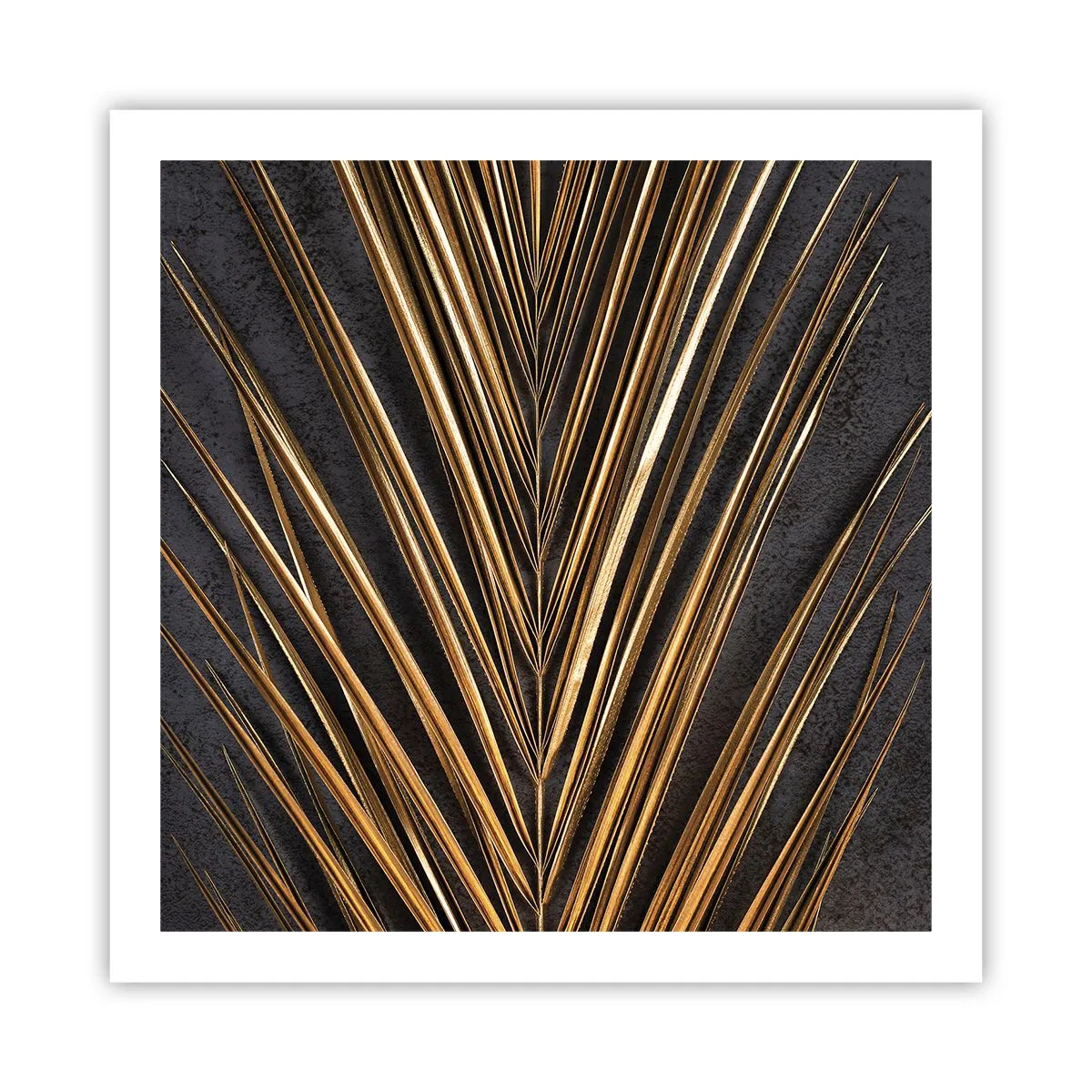 Póster - El oro de los trópicos - 60x60 cm