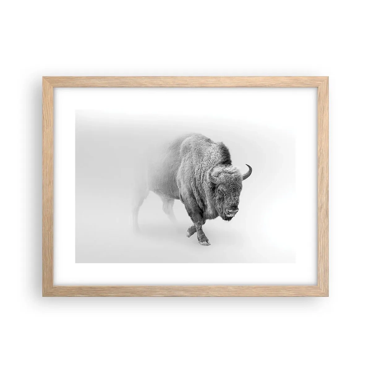 Póster en marco roble claro - Rey de la pradera - 40x30 cm