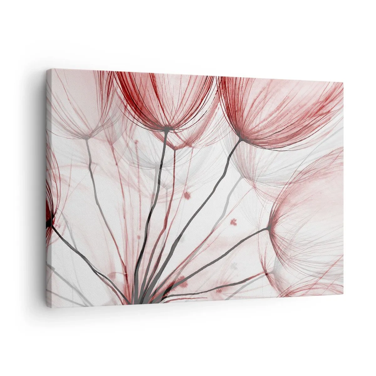 Cuadro sobre lienzo - Impresión de Imagen - Delicadas flores en tonos rojos sobre un fondo claro. - 70x50cm - Antes de partir - Decoración de pared moderna para salón y dormitorio ARTTOR