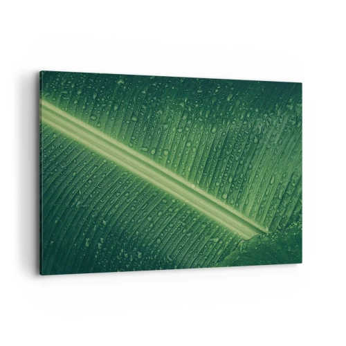 Cuadro sobre lienzo - Impresión de Imagen - Una hoja verde con gotas de agua en su superficie. - 120x80cm - Estructura del verde - Decoración de pared moderna para salón y dormitorio ARTTOR