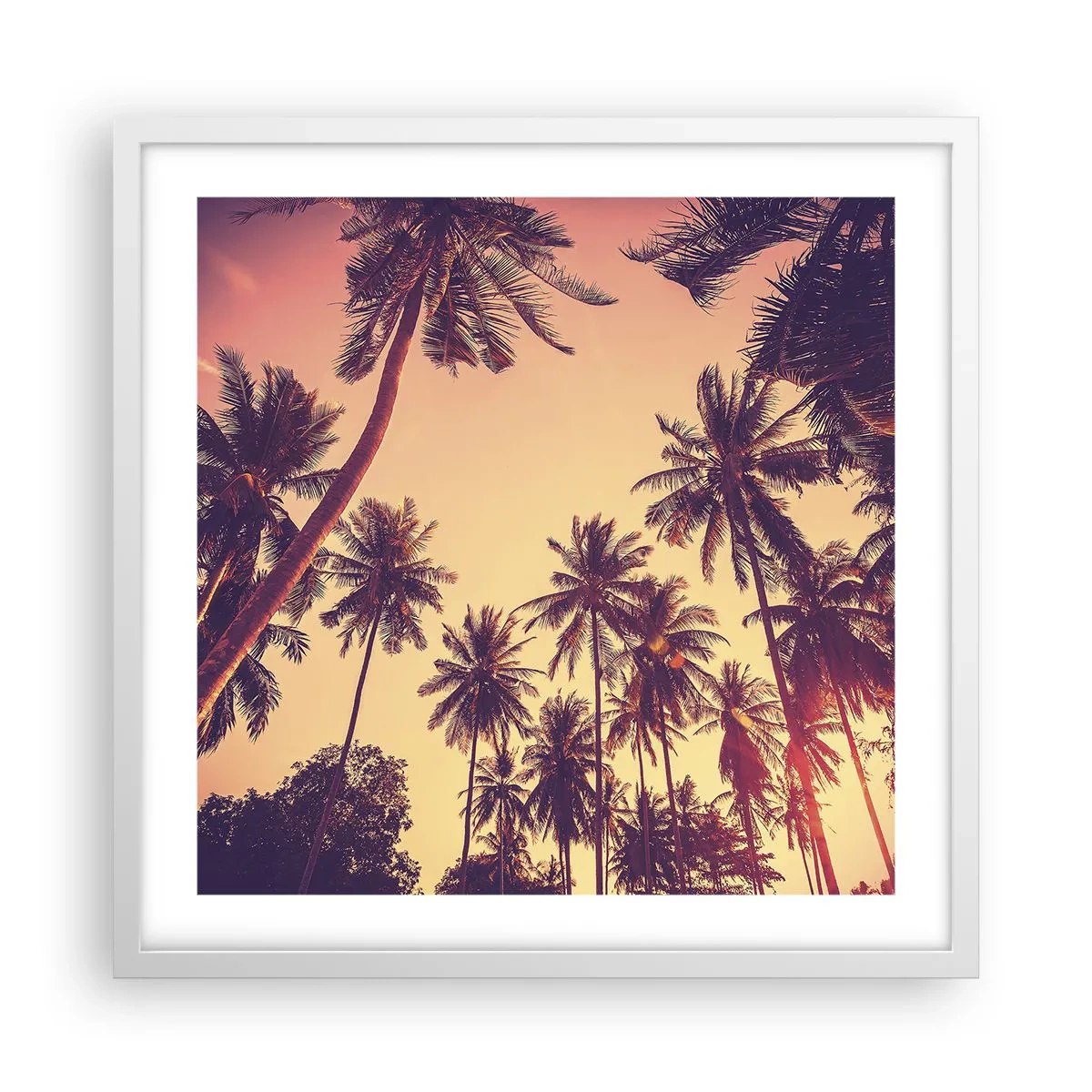 Póster en marco blanco - Variante tropical - 50x50 cm