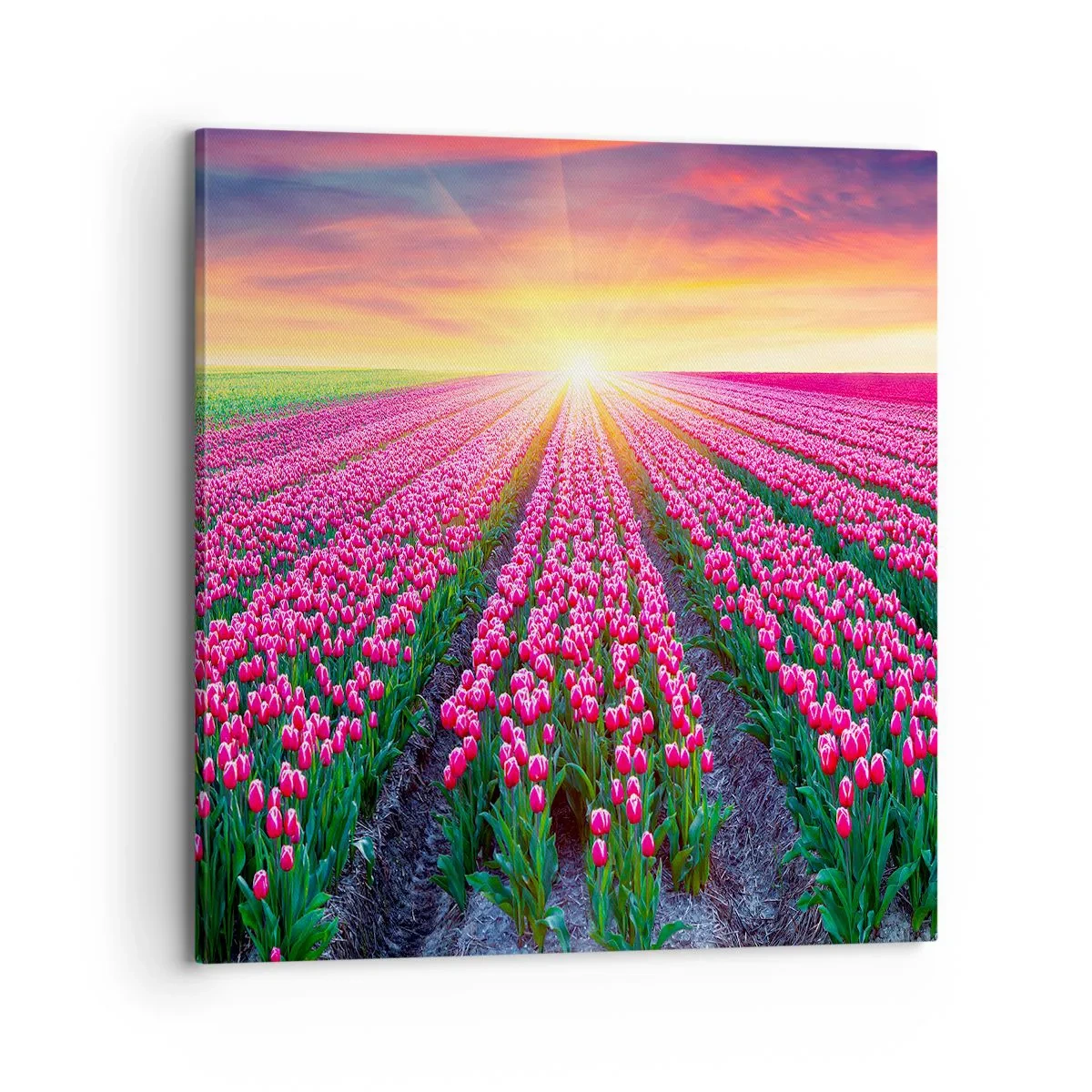 Cuadro sobre lienzo - Impresión de Imagen - Granja de belleza - 70x70 cm