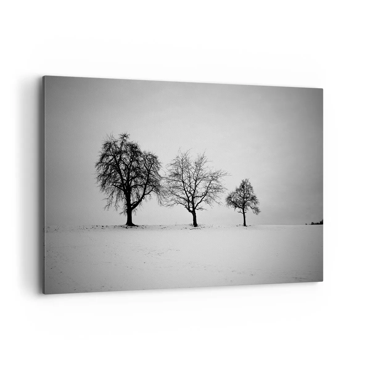 Cuadro sobre lienzo - Impresión de Imagen - Tres árboles en un campo nevado en estilo monocromático. - 120x80cm - ¿Con qué sueñan? - Decoración de pared moderna para salón y dormitorio ARTTOR
