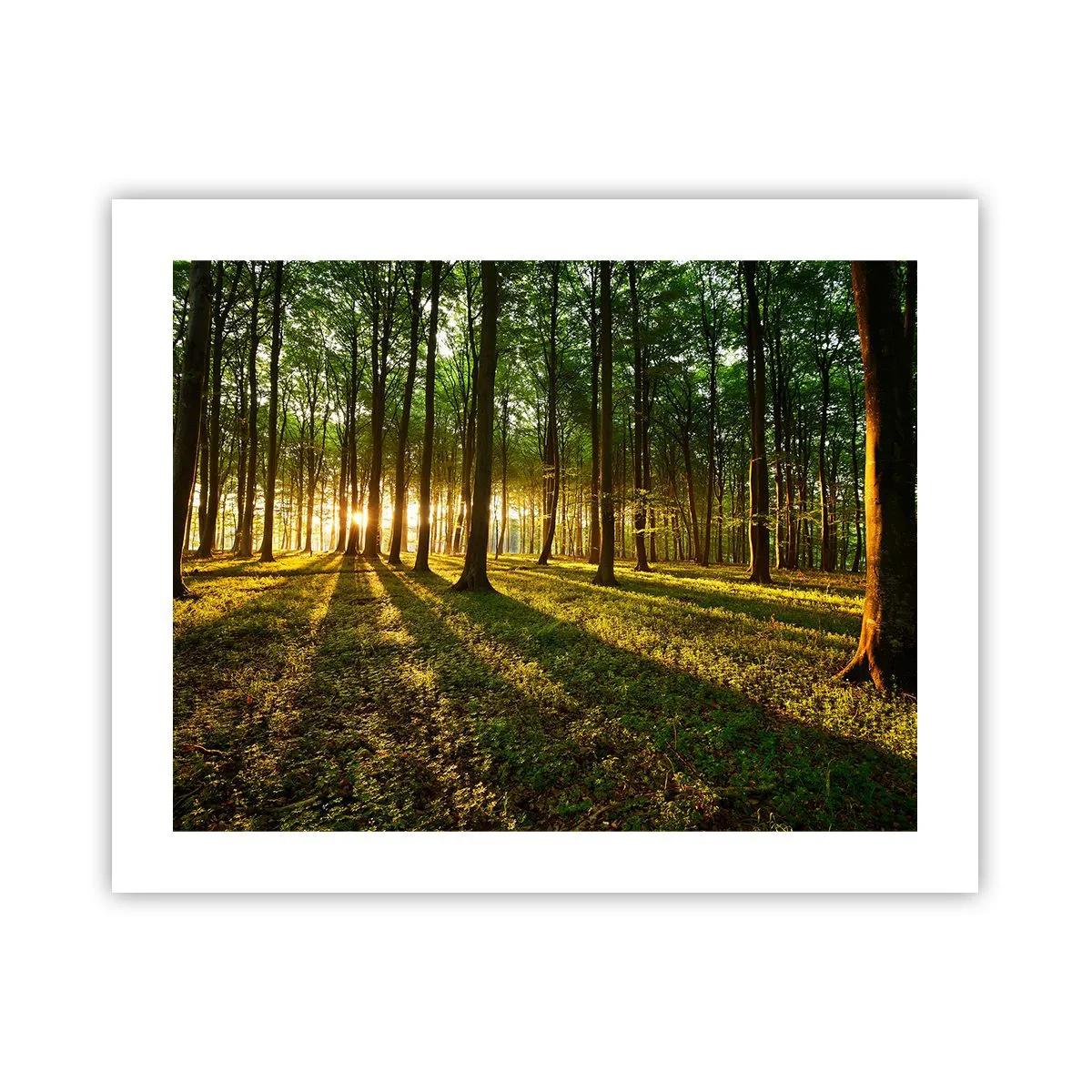 Póster - Una fotografía de todos los manantiales - 50x40 cm