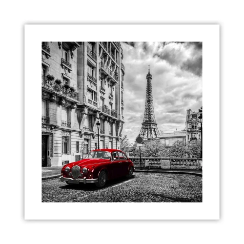 Póster - Un depredador en la ciudad - 40x40 cm