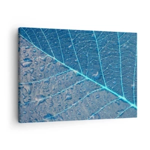 Cuadro sobre lienzo - Impresión de Imagen - Una hoja en tonos azules con gotas de agua. - 70x50cm - Vida en el azul - Decoración de pared moderna para salón y dormitorio ARTTOR
