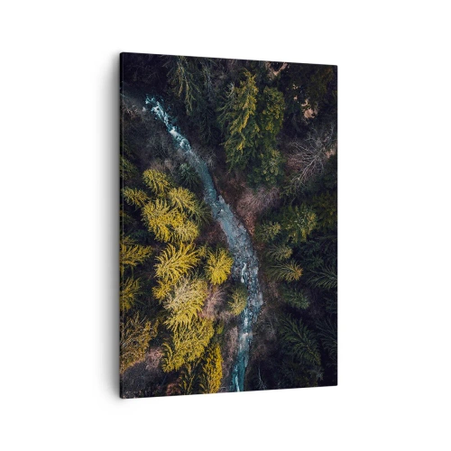 Cuadro sobre lienzo - Impresión de Imagen - Una vista desde arriba de un bosque con un río sinuoso. - 50x70cm - Rápido, cada vez más rápido - Decoración de pared moderna para salón y dormitorio ARTTOR