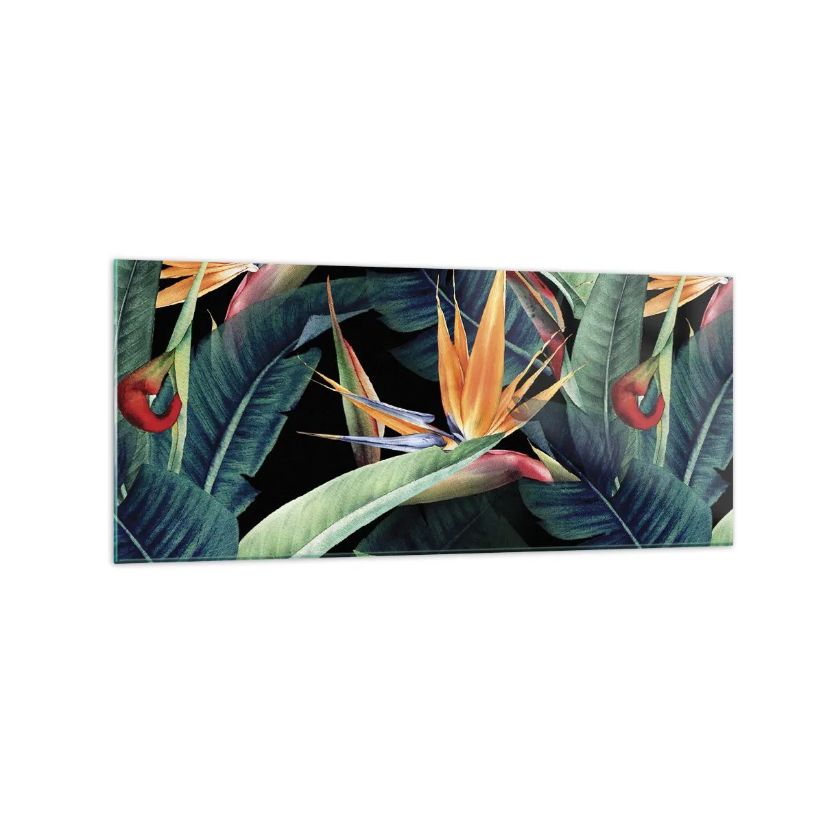 Cuadro sobre vidrio - Impresiones sobre Vidrio - Flores y hojas tropicales sobre fondo negro. - 120x50cm - Flores de llamas de los trópicos - Decoración de pared moderna para salón y dormitorio ARTTOR