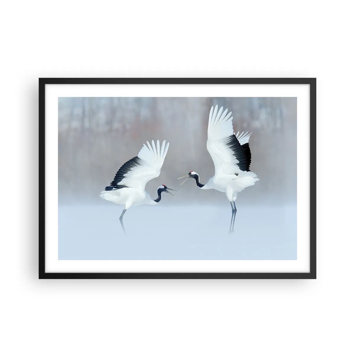 Póster en marco negro - Dos grullas bailando en un paisaje brumoso - 70x50cm - Danza en la niebla - Decoración de pared moderna para salón y dormitorio ARTTOR