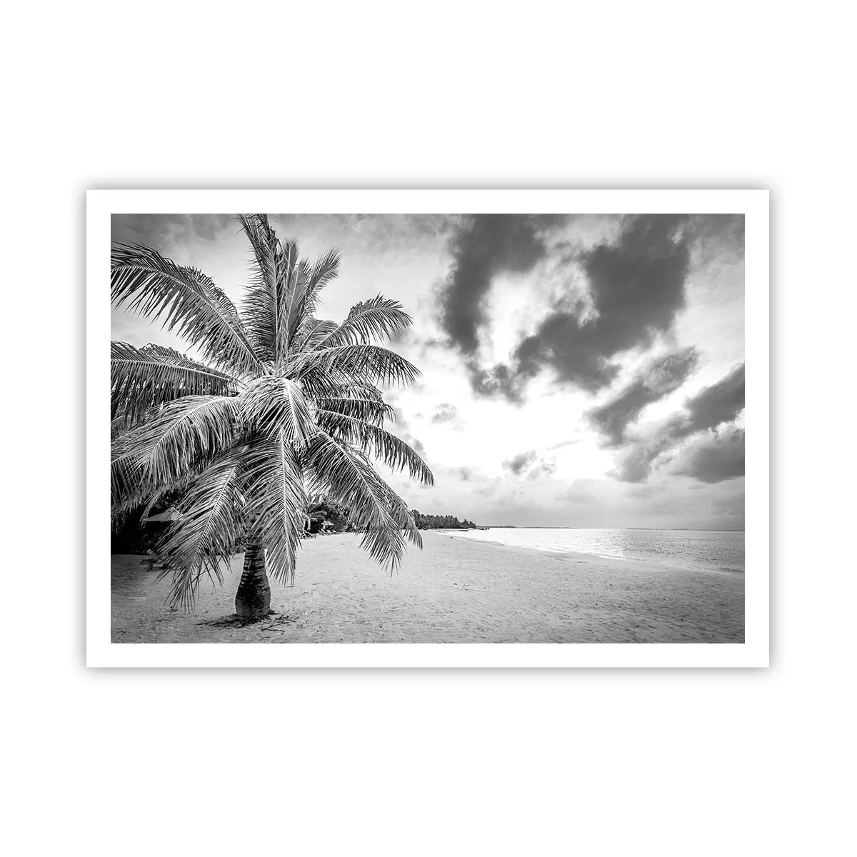 Póster - Palmera en blanco y negro en una playa vacía con nubes - 100x70cm - Anhelo de soledad.... - Decoración de pared moderna para salón y dormitorio ARTTOR