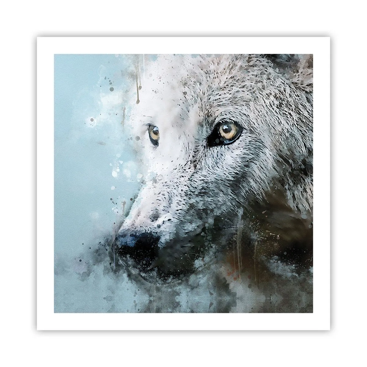Póster - Conoce el alma del lobo - 60x60 cm