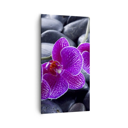 Cuadro sobre lienzo - Impresión de Imagen - Las piedras brillan con deleite - 55x100 cm