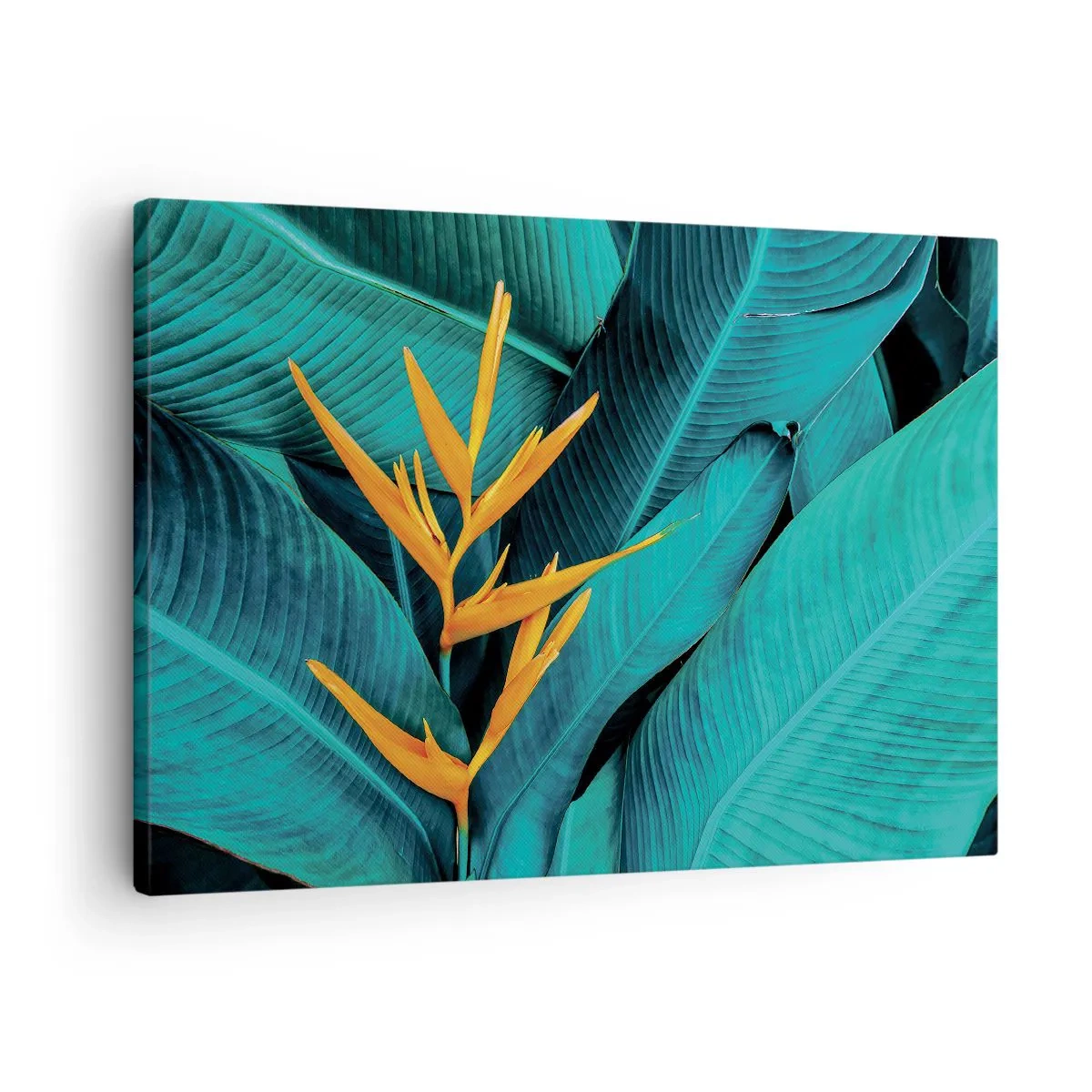 Cuadro sobre lienzo - Impresión de Imagen - Una flor exótica sobre un fondo de hojas de plátano en tonos turquesas. - 70x50cm - Flor del Edén - Decoración de pared moderna para salón y dormitorio ARTTOR