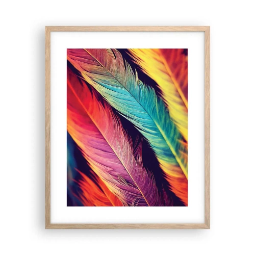 Póster en marco roble claro - Arco iris plumoso - 40x50 cm