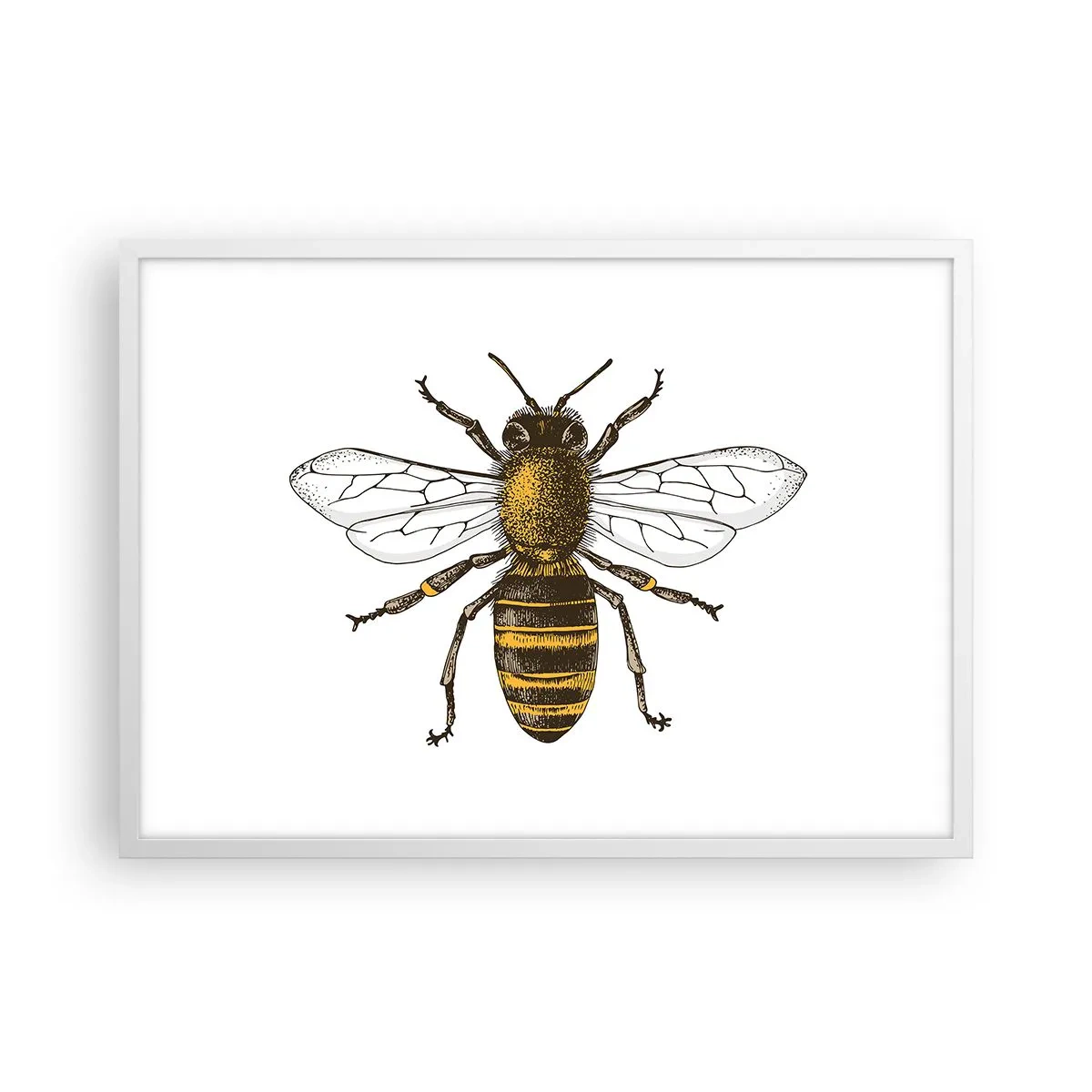 Póster en marco blanco - Bondad natural - 70x50 cm